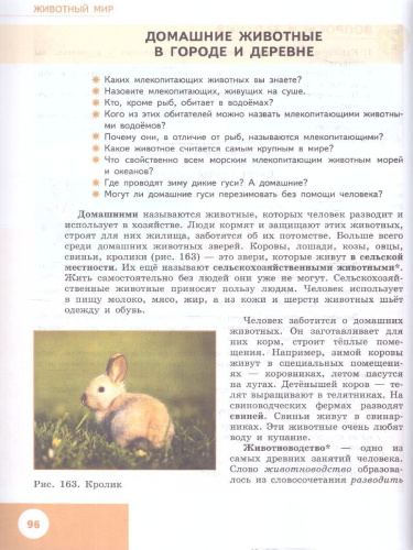 Природоведение 6 класс. Учебник (Обновленный, для обучающихся с интеллектуальными нарушениями)