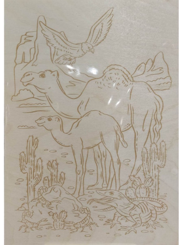 Выжигание. Доска для выжигания 1 шт "Пустынный край" А4 (европодвес)(Десятое королевство)