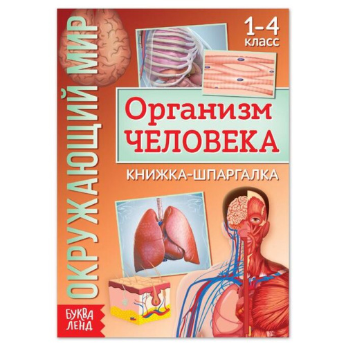 Книжка-шпаргалка "Окружающий мир. Организм человека",