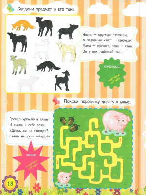 55643961-3