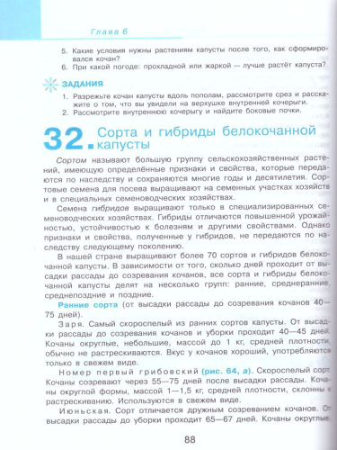 Технология 7 класс. Сельскохозяйственный труд. Учебник. Для специальных (коррекционных) образовательных учреждений VIII вида