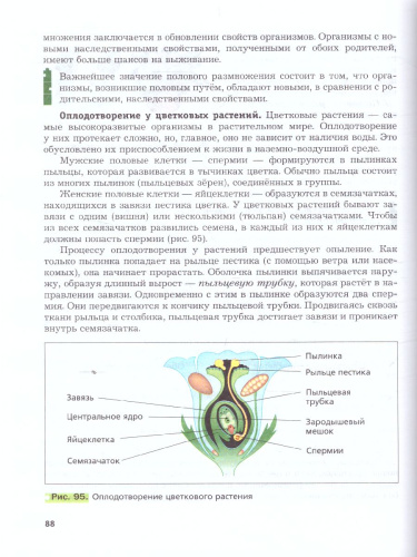 Биология 6 класс. Учебник. ФГОС