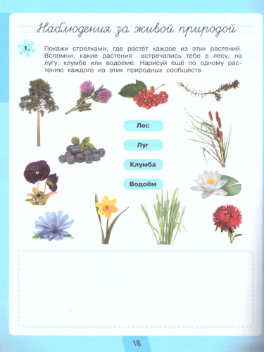 Дневник наблюдений. Окружающий мир 4 класс