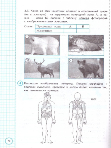 ВПР Окружающий мир. За курс начальной школы. Практикум. ФГОС Новый