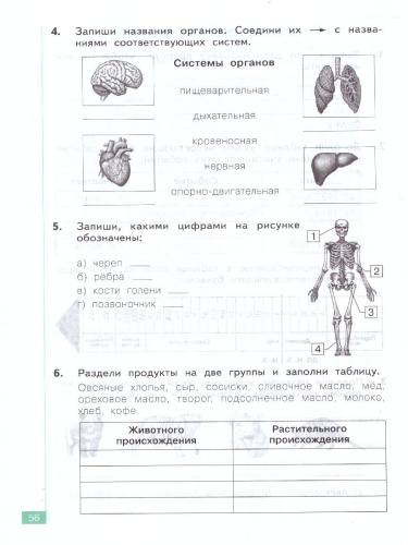 Дмитриева, Казаков Окружающий мир 4 кл. Тематический и итоговый контроль. Рабочая тетрадь (Бином)