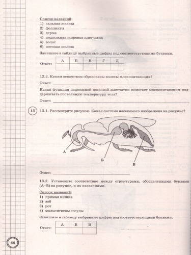 ВПР Биология 8 класс. 10 вариантов. Типовые задания. ФГОС Новый