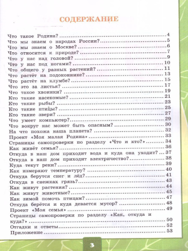Окружающий мир 1 класс. Тетрадь для практических работ №1 с дневником наблюдений. ФГОС Новый