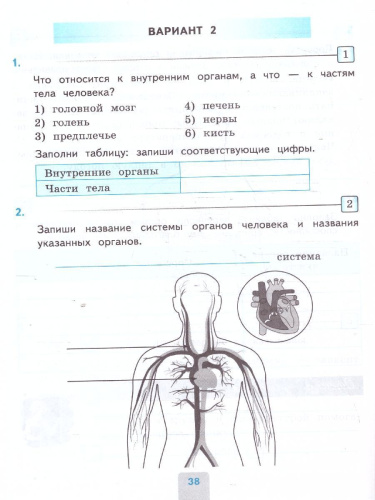 Окружающий мир 3 класс. Проверочные работы. ФГОС
