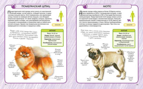 Собаки. Практическая энциклопедия. 50 шагов в мир знаний