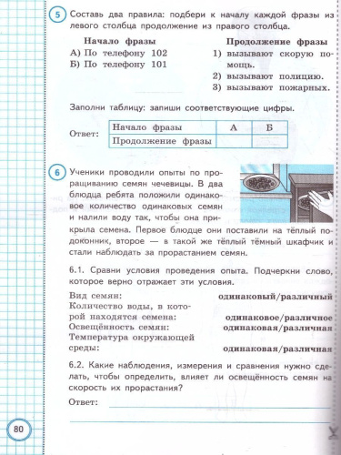 ВПР Окружающий мир 4 класс. 10 вариантов. ФИОКО СТАТГРАД ТЗ ФГОС