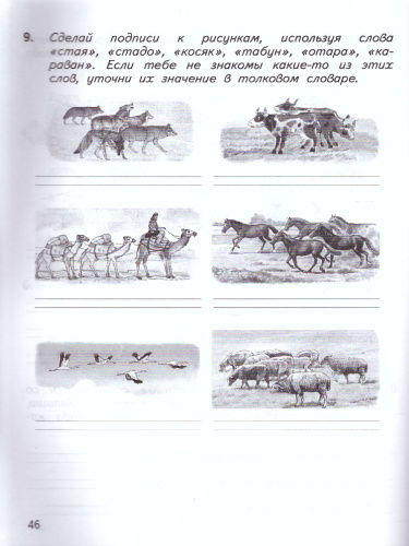 Русский язык 2 класс. Познавательные истории с заданиями. Рабочая тетрадь № 2. ФГОС