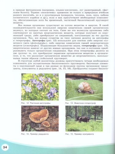 Экология 10-11 классы. Учебник. Базовый уровень