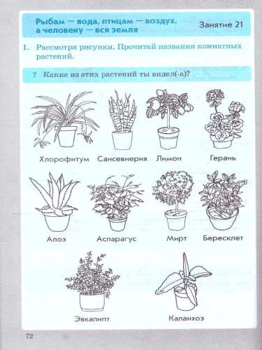 Перова Формирование здорового и безопасного образа жизни. 2 класс. (ТЦУ)