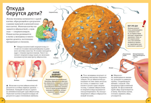 Всё о теле человека. Энциклопедия