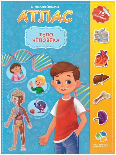 Атлас с наклейками. Тело человека