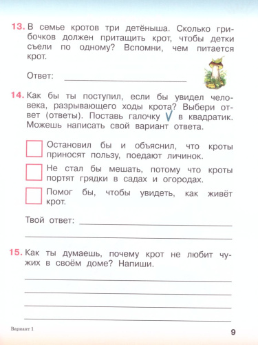 Комплексная проверочная работа(*) 1 класс (I уровень сложности). Рабочая тетрадь