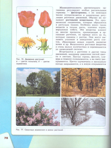 Биология 6 класс. Учебник