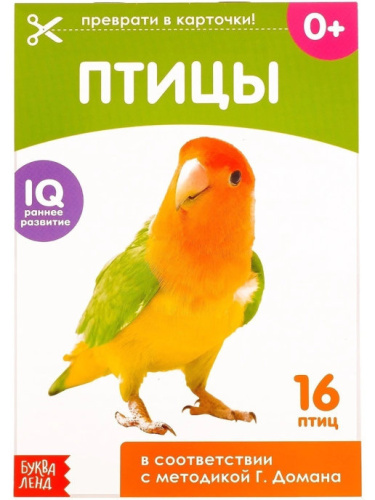 Обучающие карточки по методике Глена Домана "Птицы России", 3+