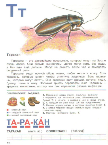 Тетрадь общения и развития детей "Насекомые-2"