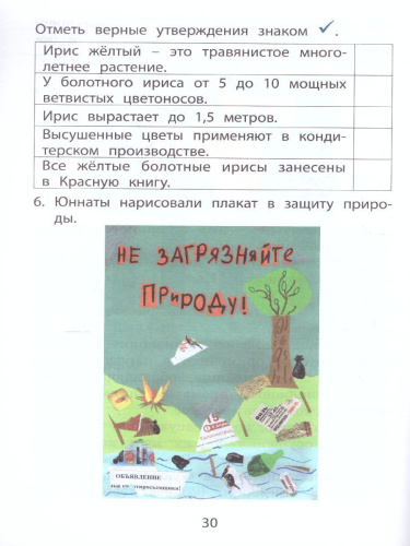 Формирование функционального чтения 2 класс. Рабочая тетрадь