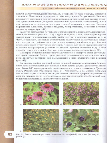 Биология 5 класс. Базовый уровень. Учебник. УМК "Линия жизни" (ФП2022)