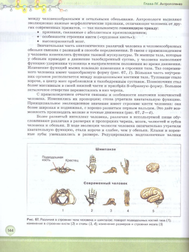 Биология 11 класс. Углубленный уровень. Учебное пособие. ФГОС
