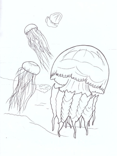 Раскраска "Обитатели океана"