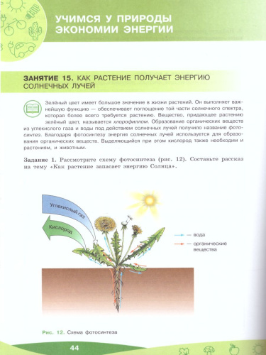 Чему природа учит человека? 5-6 классы