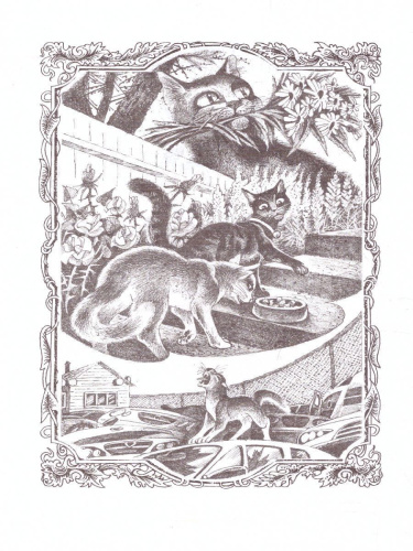 Сборник. Цикл "Нерассказанные истории". Сердце Пестролистой