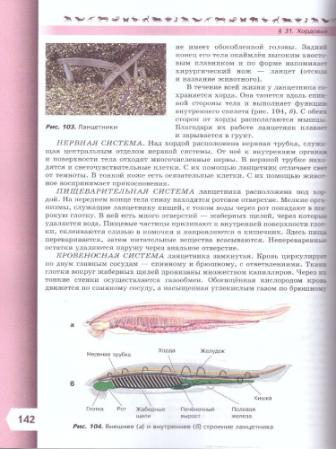 Биология 8 класс. Базовый уровень. Учебник. УМК "Линия жизни" (ФП2022)