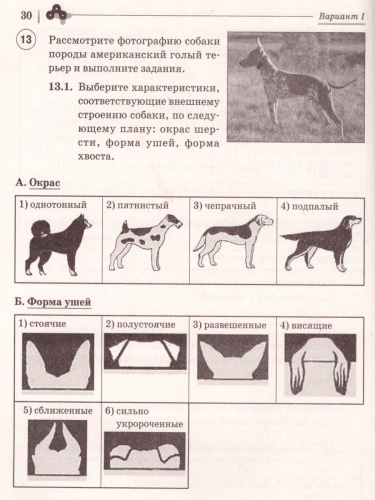 ВПР. Биология 7 класс. 5 тренировочных вариантов