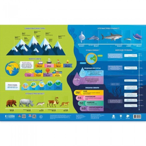 Карта Мира настенная двухсторонняя. Мой мир. 58х38 см.