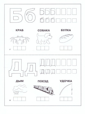 55604185-2