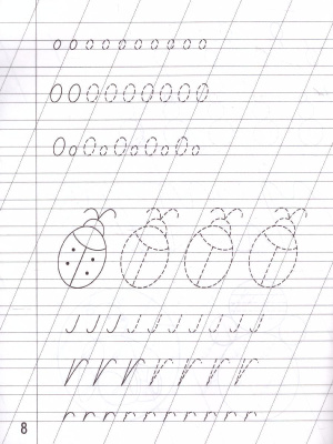 55592778-3