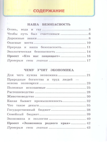 Окружающий мир 3 класс. Рабочая тетрадь. Часть 2. К новому учебнику. УМК Плешакова. ФГОС НОВЫЙ