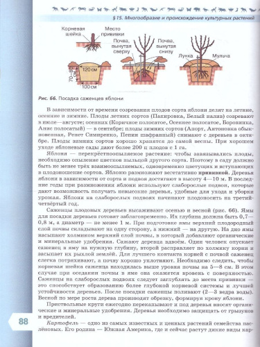Биология 7 класс. Базовый уровень. Учебник. УМК "Линия жизни" (ФП2022)