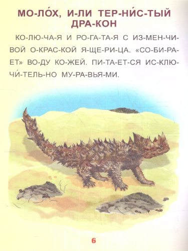 Читаем по слогам. Крупные буквы. Читалочки-познавалочки. Рассказы: слоговой тренажёр