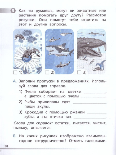 Естественно-научная грамотность 1 класс. Окружающий мир. Тетрадь-тренажер
