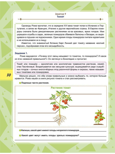 Функциональная грамотность 4 класс. Тренажер для школьников. Учение с увлечением