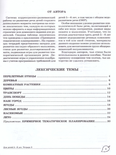 Учим слова и предложения. Домашняя логопедическая тетрадь. 5-6 лет. В 3 тетрадях. Тетрадь 3