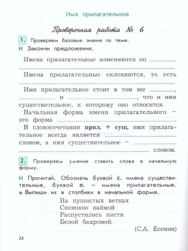 Русский язык 4 класс. Проверочные и контрольные работы. В 2-х вариантах. Вариант 2. ФГОС