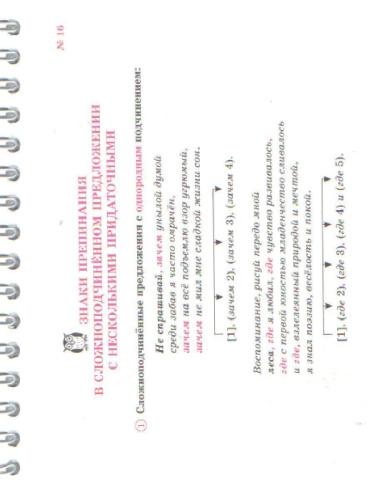 Русский язык. Самые главные пунктограммы