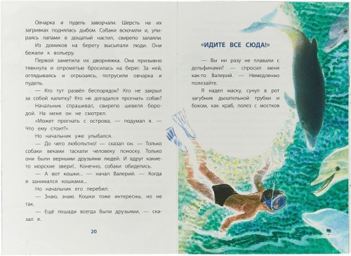 Дельфиний остров