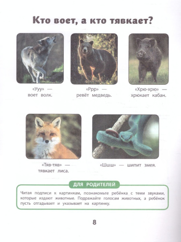 Как много звуков нас окружает