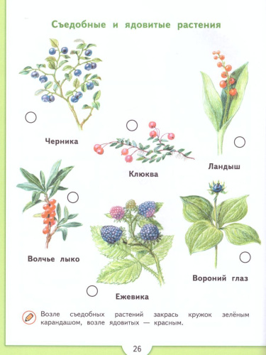 Зеленая тропинка. Учебное пособие для подготовки детей к школе. ФГОС