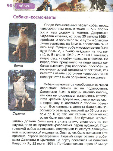 Собаки