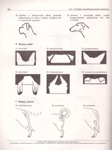 ОГЭ-2024. Биология. Типовые экзаменационные варианты: 10 вариантов