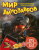 Мир динозавров с дополненной реальностью / МирДинозавров