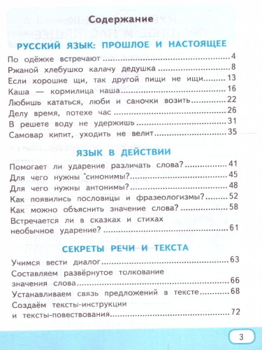 Русский родной язык 2 класс. Рабочая тетрадь. К учебнику О.М. Александровой и др. ФГОС НОВЫЙ