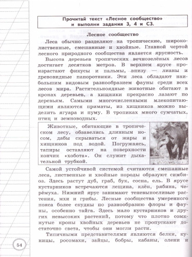 ВПР. Читательская грамотность 4 класс. 10 вариантов ТЗ. ФГОС